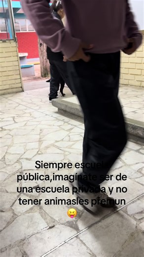 Vida en Escuela Pública: Experiencias y Realidades