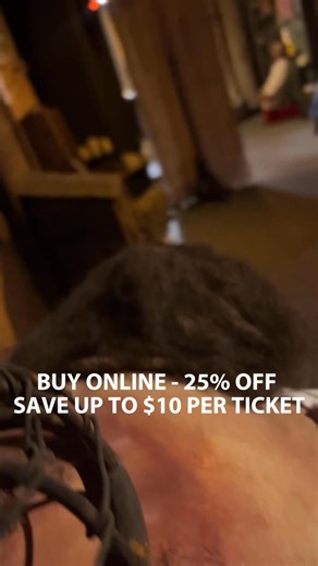 1.9K views | Enter the Medieval Torture Museum — where reality is more terrifying than fiction. Real devices. Real history. Real fear.  Chicago ⭐ 4.9-star experience  Save online: $10 in Chicago | Medieval Torture Museum | Facebook