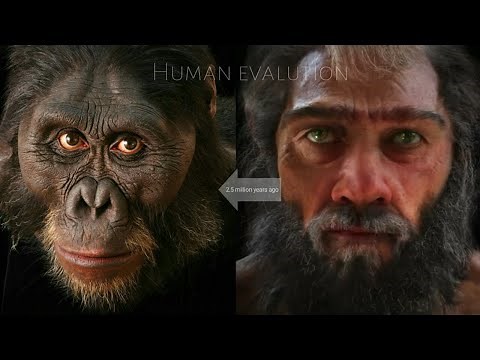 Human Evalution | Evolution from ape to man | මානව පරිණාමය #HumanEvalution #ApeToMan