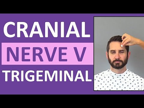 Cranial Nerve 5 Examination Nursing | Trigeminal Nerve | Cranial Nerve V Assessment