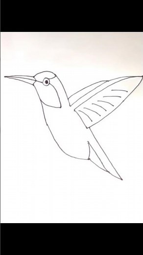How to draw Hummingbird Bird | Easy Drawing | #hummingbird #shorts #youtubeshorts #ytshorts #fypシ