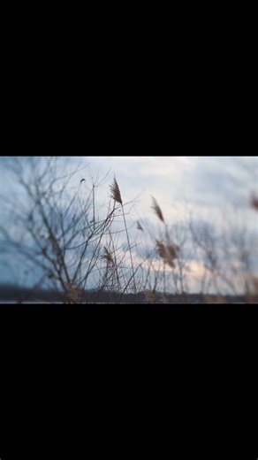 Nikon ZR + Tilt-Shift Lens Adapter Demo Video