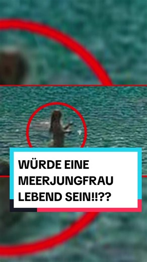 Echte Meerjungfrau gesichtet - Unglaubliche Geschichte!