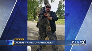 Record 45-pound catfish in Green Lake? City and state weigh in