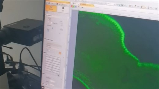 荧光-软件操作-倒置荧光显微镜操作流程-OLYMPUS奥林巴斯倒置显微镜IX73