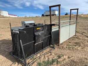 Rupp Hydraulic Calf Table & Alleyway | Agriculture