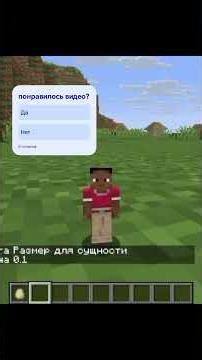 команда /attribute @p minecraft:scale base set и размер например 10 или 00.1