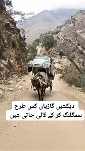 Donkey Car Lifter | Muhammad Touheed