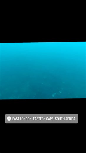 What a special day and fish | Paul Toich