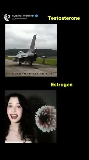 Testosterone vs Estrogen Showdown ✈️ | Power Jet vs Flower Grace 🌸
