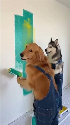 I Hired DOGS To Paint My House... Huge Mistake! 😱🐶🎨🚧