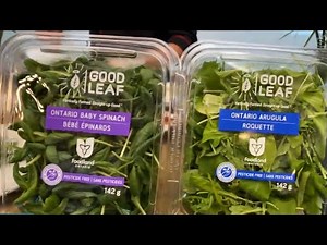 3 healthy and easy recipes using microgreens
