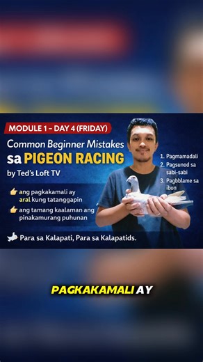 5.3K views · 262 reactions | Module 1 – Day 4 (Friday) Common Beginner Mistakes in Pigeon Racing #kalapatids | Ted's Loft TV | Facebook