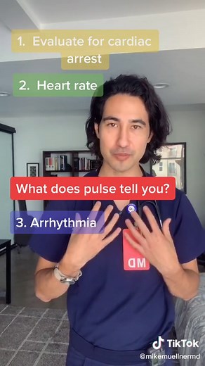 Understanding Your Pulse: A Guide to Health and Wellness