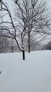 We're measuring 3 inches fallen so far and still lightly snowing. | Deep Creek Lake & Garrett County, Maryland