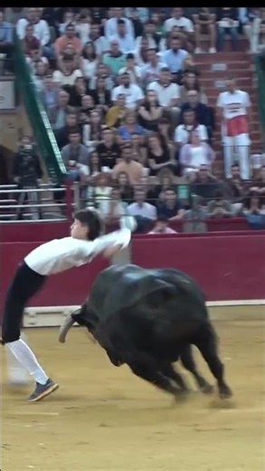 😱 Un CORTE PERFECTO al TORO más GRANDe del CONCURSO!