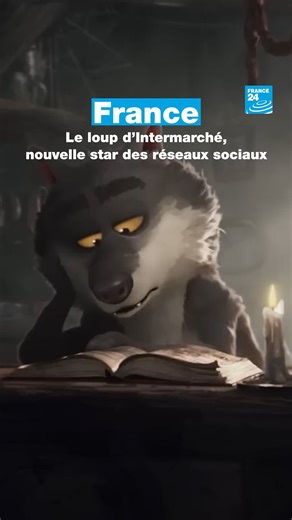 🐺 🇫🇷 Le loup de la publicité de Noël d'Intermarché, créée par un studio d'animation français sans IA, est devenu la coqueluche d'Internet. #loup #Intermarché #Noël | FRANCE 24