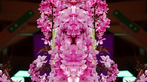 17K views · 67 reactions | Nick's is a world of color and we are bursting with all of your favorite plants! We have a wondeful selection of patio pots, hanging baskets, roses, blooming annuals, and so much more. Stop by today and experience the wonderland that is Nick's Garden Center in bloom! | Nick's Garden Center | Facebook