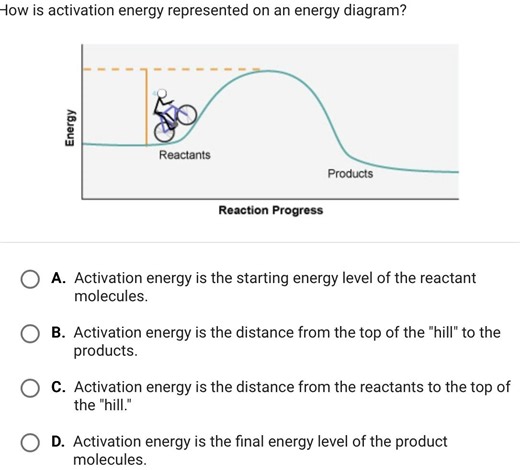 How is activation energy represented on an energy diagram?  A. ... | Filo