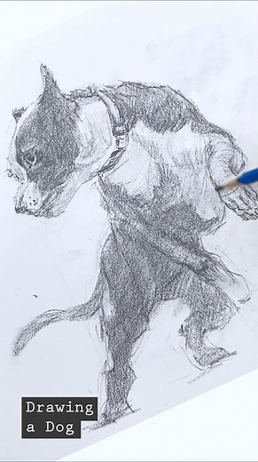🚀 Drawing a Pit Bull Dog | Pencil Sketch #shorts #drawing