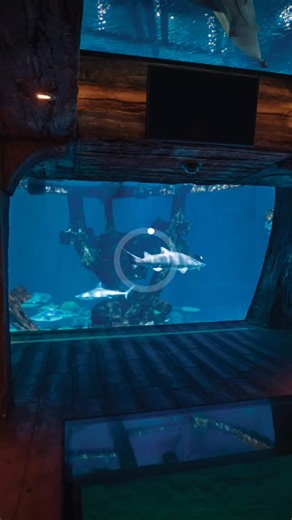 Plan Vegas itinerary ✔️ Read Las Vegas Magazine publisher Katie Dixon’s full 7 days plan at our link in bio. | Las Vegas Magazine