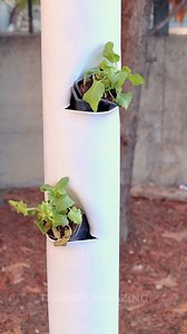 Tower Gardening 🥬 The Ultimate Space-Saving Hack for Plant Lovers 🌱 | Transformazing
