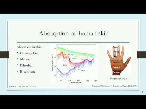 Effect of Temperature on the Optical Properties of Latin Skin: A Spectroscopy-Based Study