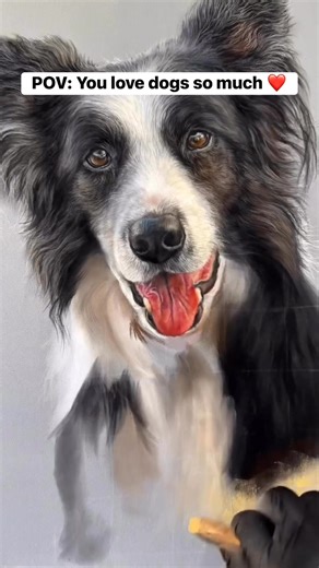 Are you a lover of Dogs? Here’s a portrait of a cute one. Pastel drawing on paper! #Drawing #dogdrawing #petdrawing #viralreels #pencildrawing #realism #artreels #fblifestyle #explore #hyperrealism | Artist Kelle