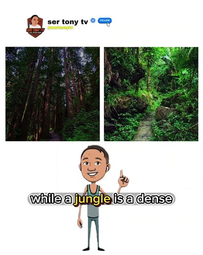Forest vs. Jungle: The EPIC Showdown You NEVER Saw Coming!
