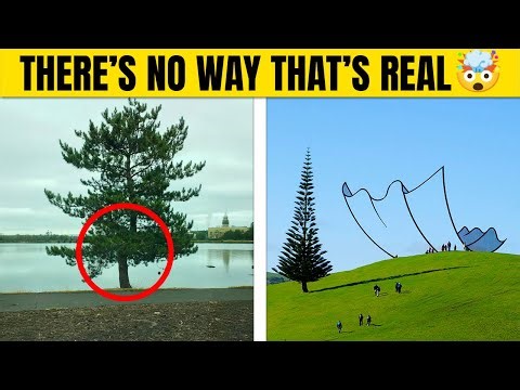 Photos That Look Photoshopped But Are Actually Real