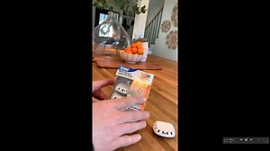 Watch everything you need to know about these ant traps on Amazon Live