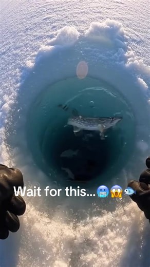 Unexpected Moments in Ice Fishing