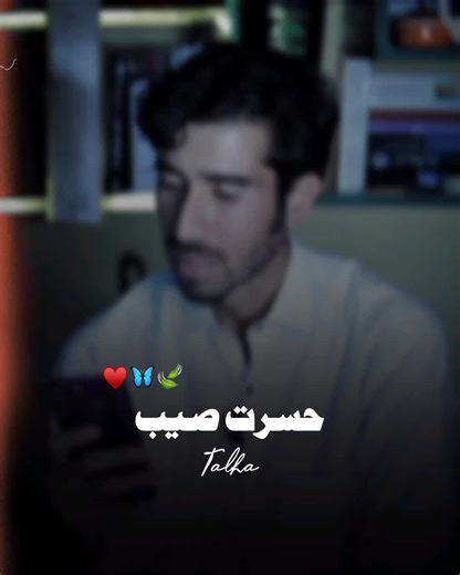 Exploring Chi Zamoga: Emotional Pashto Poetry