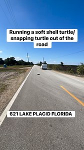 #softshellturtle #snappingturtle #lakeplacidfl | Thida Black
