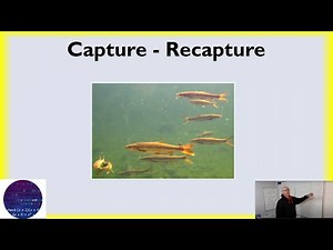 Capture Recapture