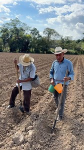 Así terminamos de sembrar el maíz con don Isaias Castro un señor trabajador del campo en Oxaca Mexico #campo #agricultura #tierra #trabajo | Un Hombre De Rancho