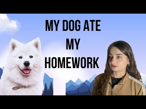 My Dog Ate My Homework... For Real!