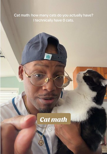 Understanding Cat Math: How Many Cats Do You Really Have?