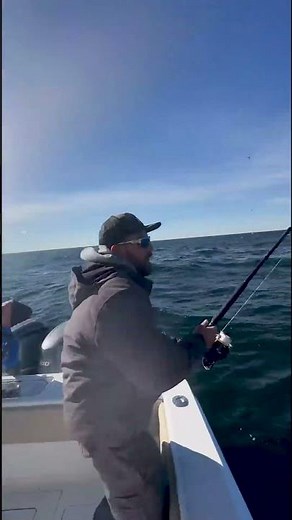 Full Speed Bluefin Fishing!