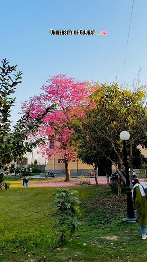 University of Gujrat: A Journey Through Sad Movement