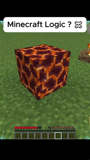 Minecraft Logic? ☠️
