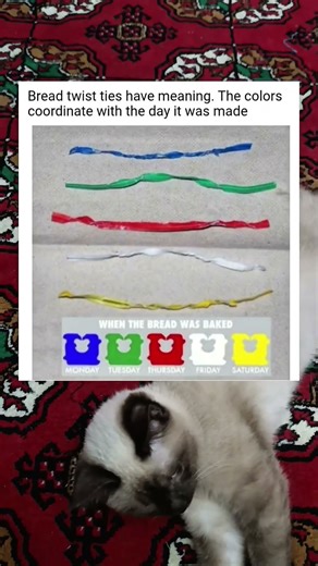 The Secret Code Behind Bread Tie Colors Explained #shorts