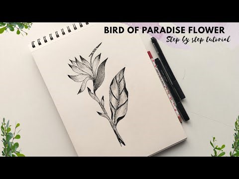 How to draw flowers. Bird of Paradise flower drawing tutorial for beginners. Pen drawing.