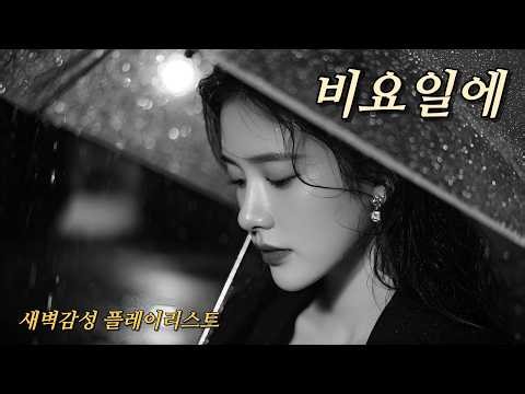 🌧️[Playlist] 비요일에 네가 내리면｜혼자인데 둘이야When You Fall Like Rain｜Emotional Korean Ballad Playlist｜雨のように君が降る夜