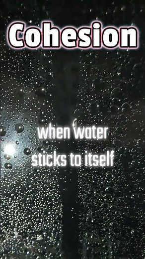 Why Water Sticks Together 💧 | Adhesion vs Cohesion Explained