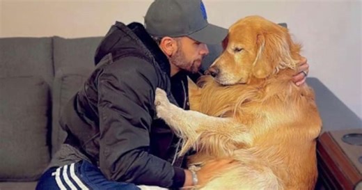 Imagens inéditas de TV mostram cão Joca com vida ao chegar em Fortaleza (CE)