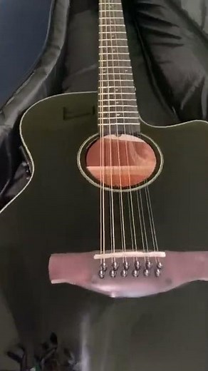 NEW IBANEZ 12-STRING GUITAR VIDEO (1)