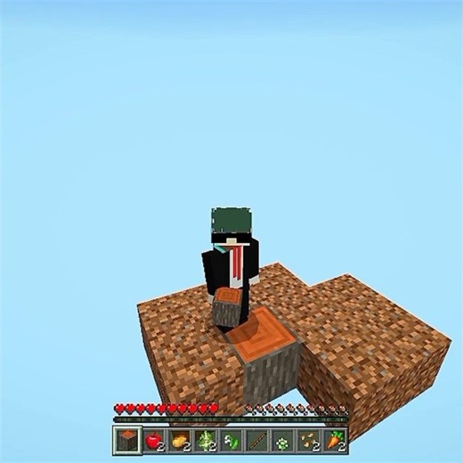 Minecraft one block clutch moment