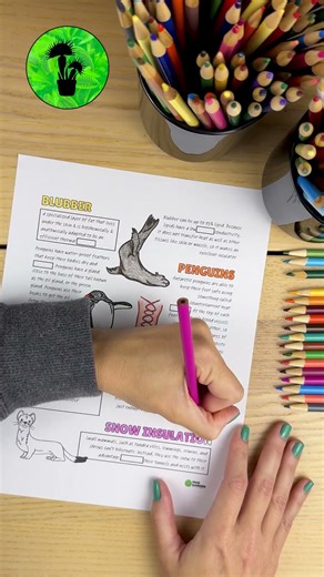 Polar Animal Adaptations #science #education