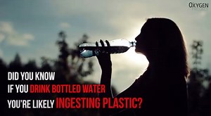 Plastic pollution from water bottles are a plague to our oceans, but the affects they have on your health go much deeper... The Oxygen Project | The Oxygen Project